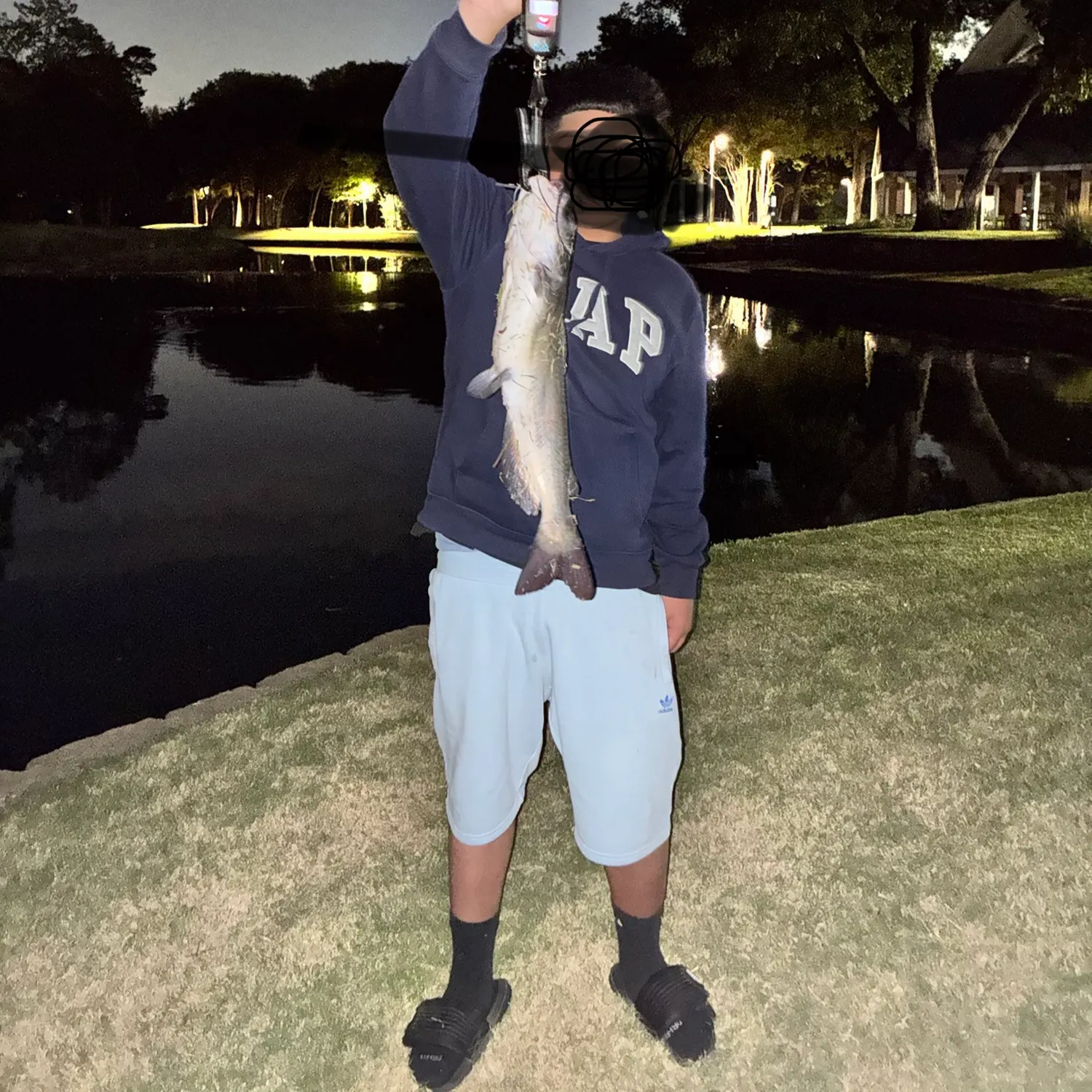 Channel catfish caught on Fishbrain