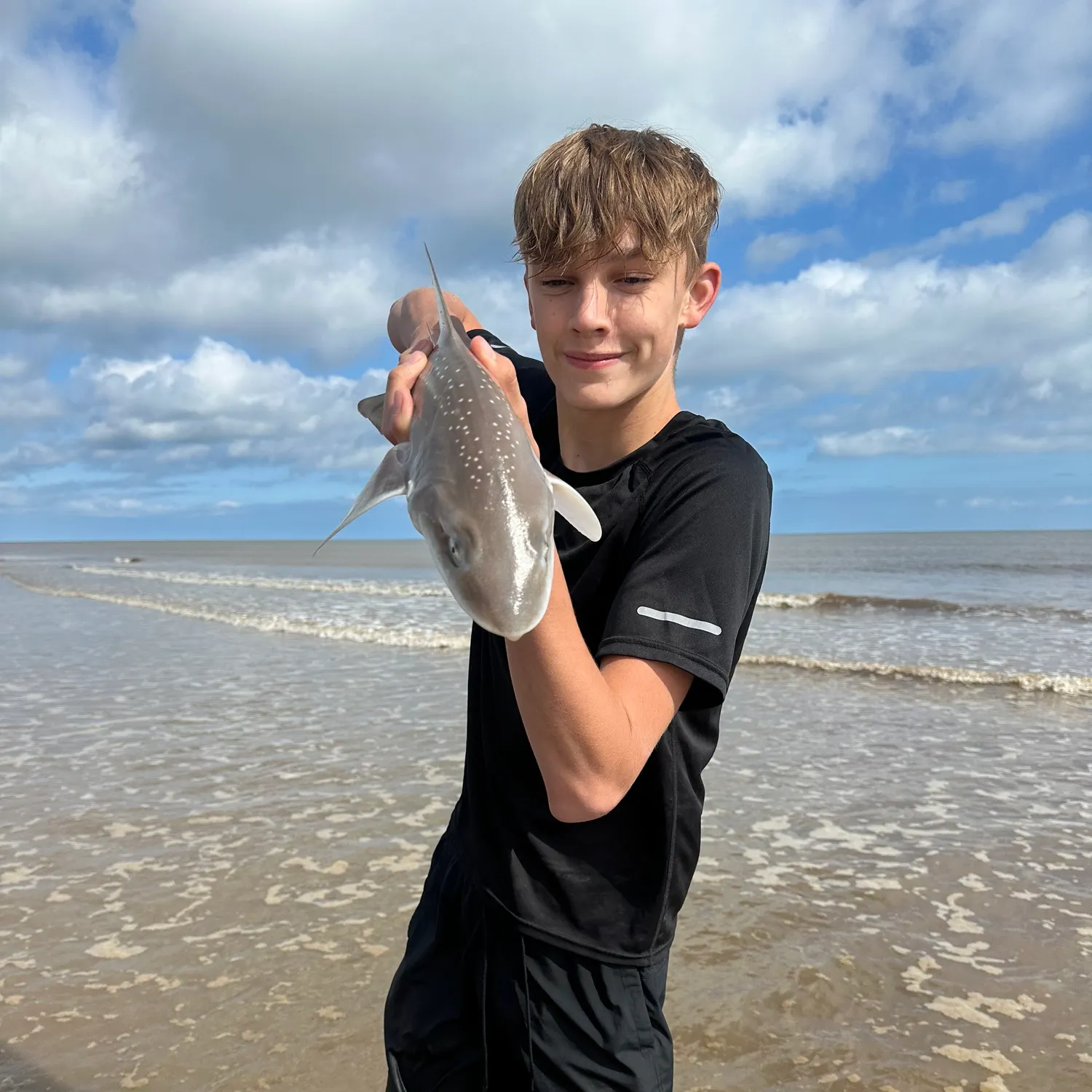 The most recent Grey smooth-hound catches on Fishbrain