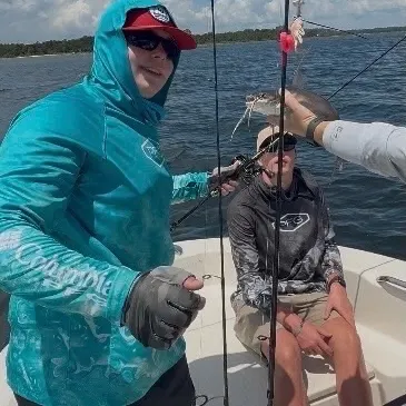 The most recent Gafftopsail sea catfish catches on Fishbrain