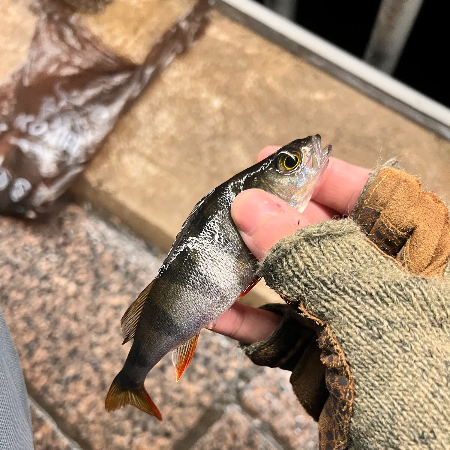 catch