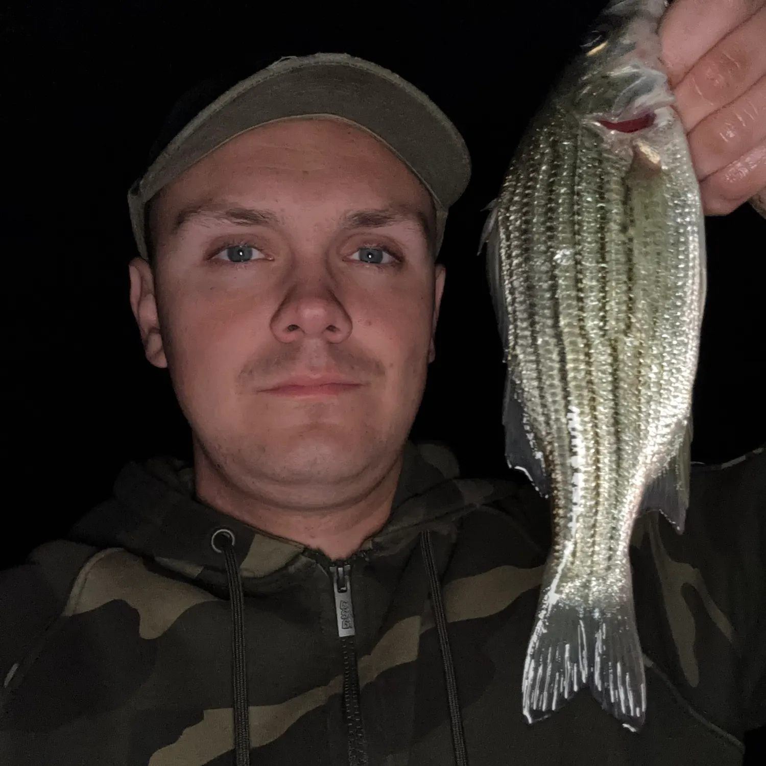 Yellow bass caught on Fishbrain