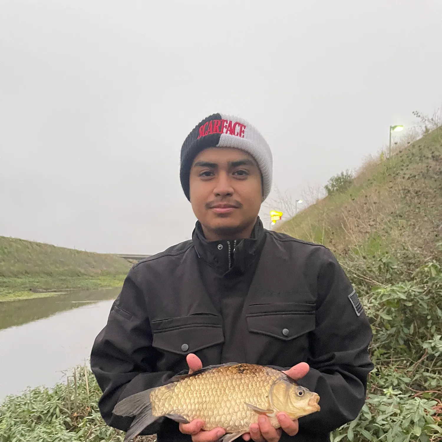 The most recent Crucian carp catches on Fishbrain