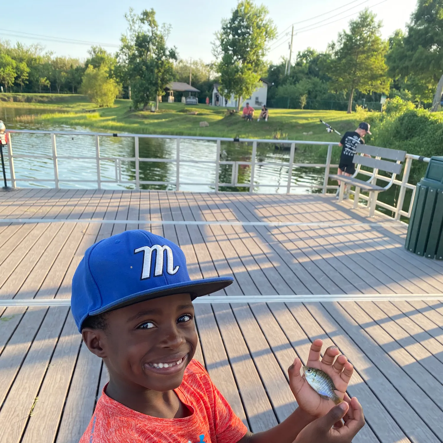 Bluegill caught on Fishbrain