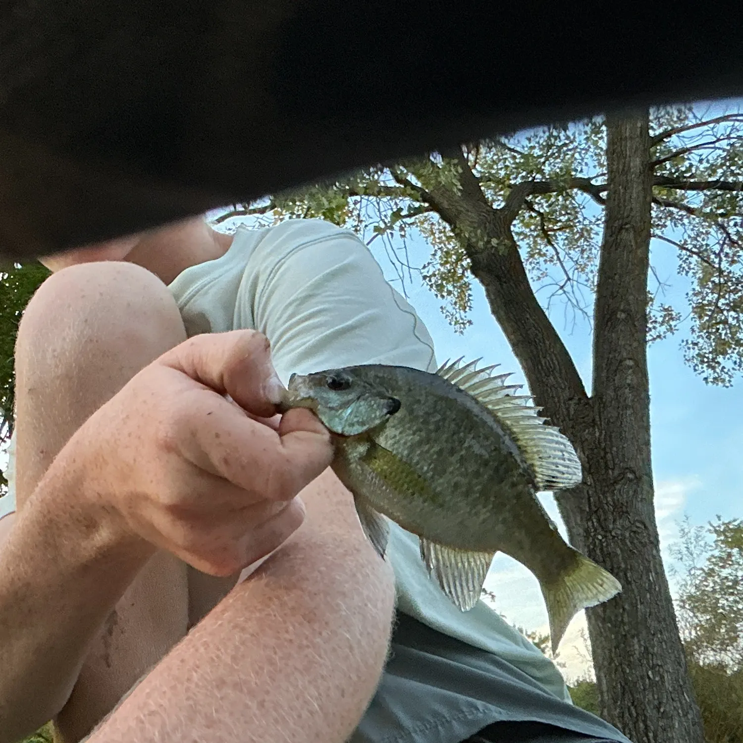 Fish caught on Fishbrain