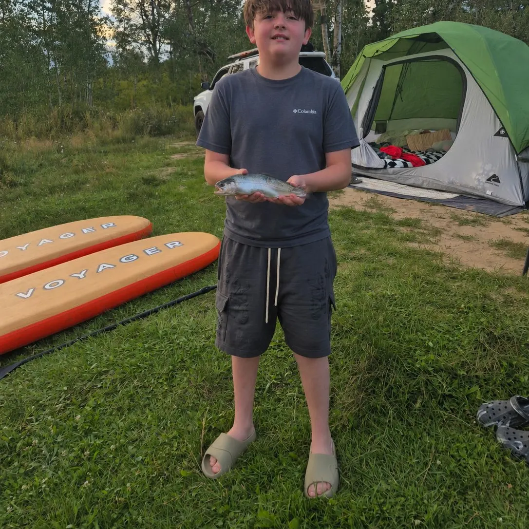 Rainbow trout caught on Fishbrain