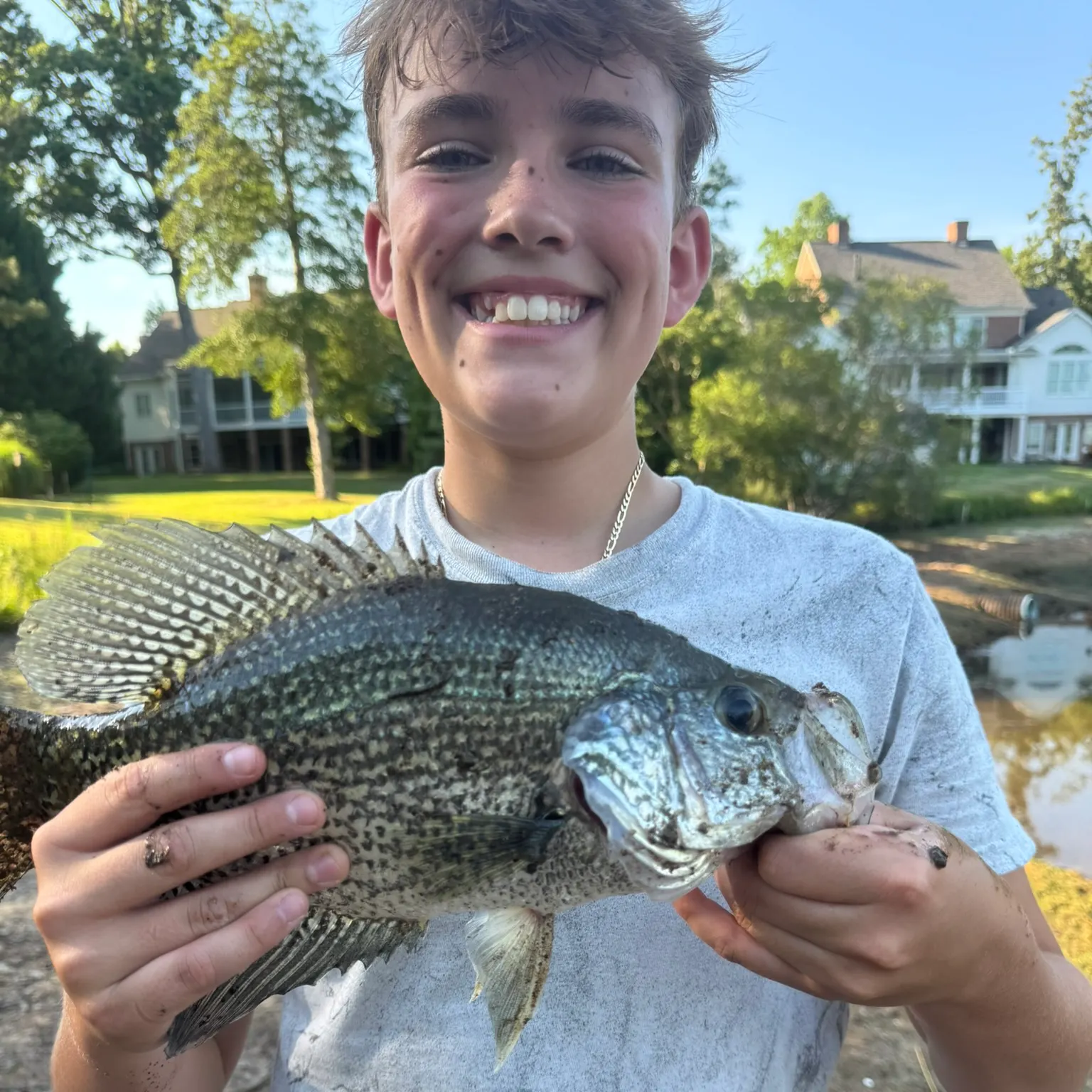The most recent Black crappie catches on Fishbrain