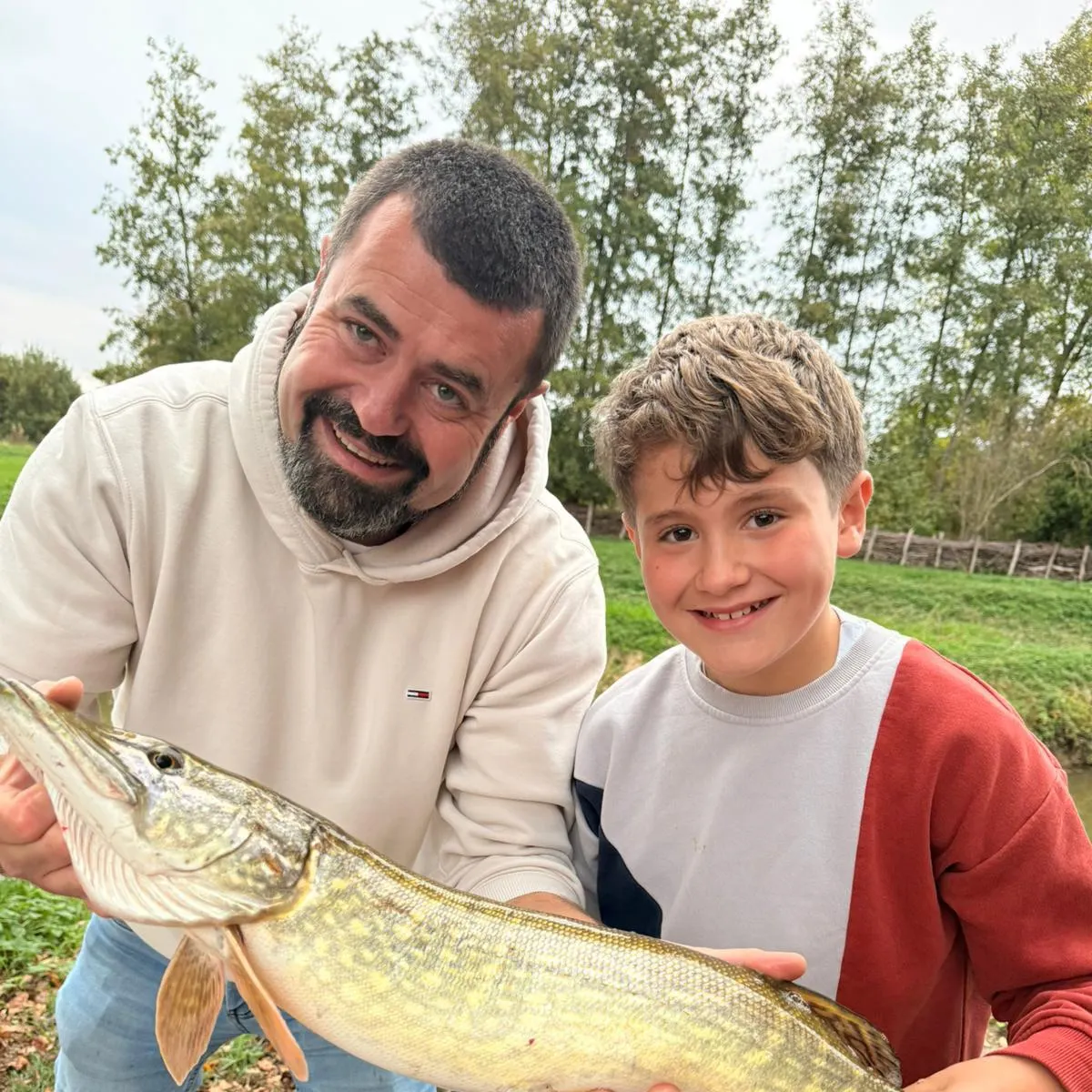 Northern pike caught on Fishbrain