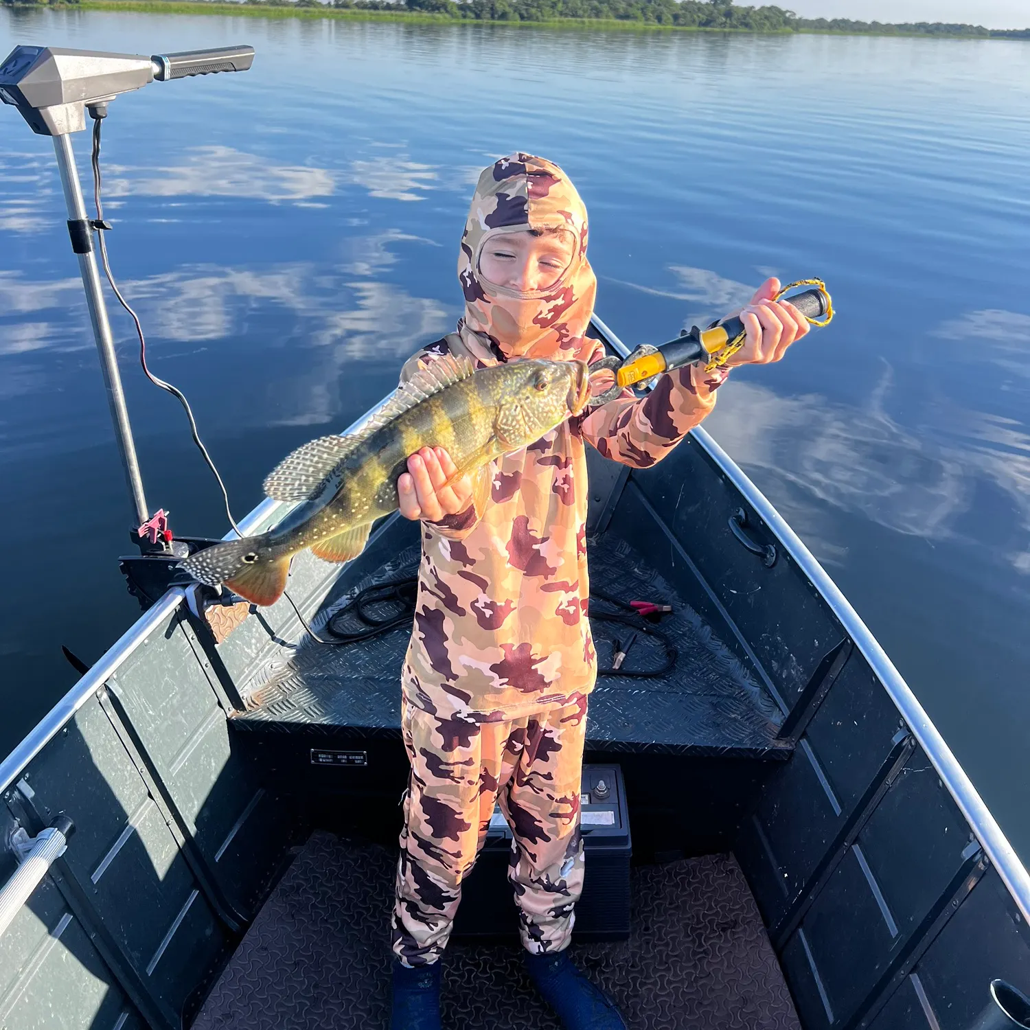 The most recent Kelberi peacock bass catches on Fishbrain