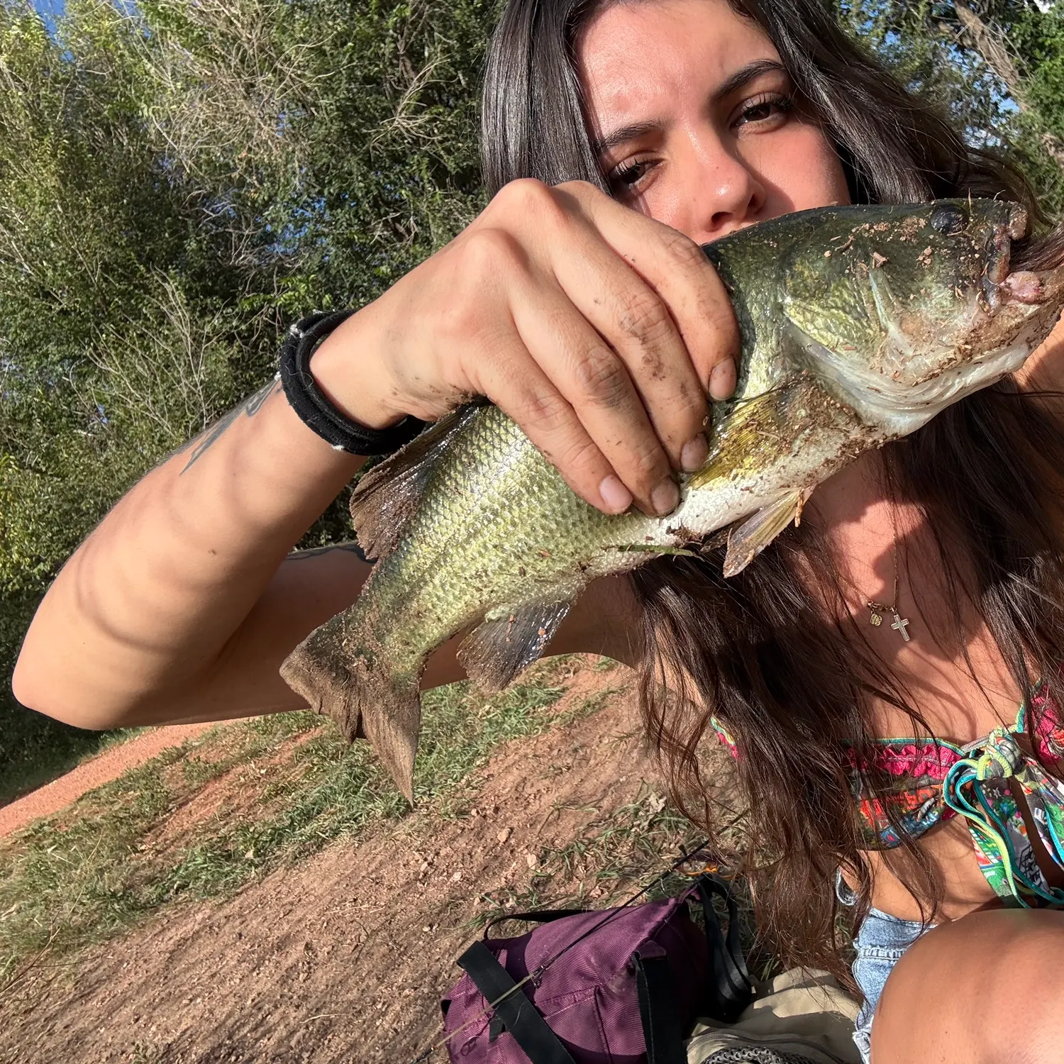 Largemouth bass caught on Fishbrain