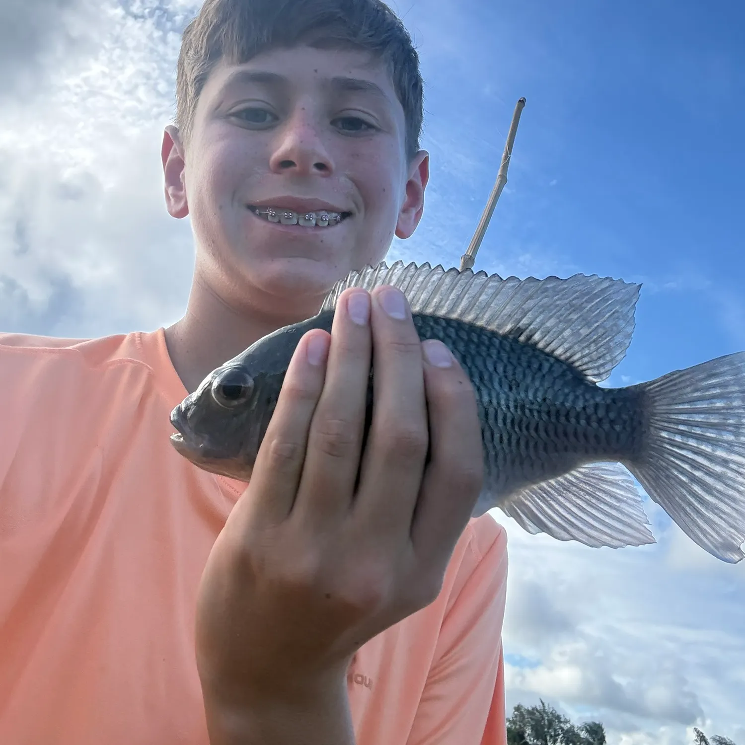 The most recent Longfin tilapia catches on Fishbrain
