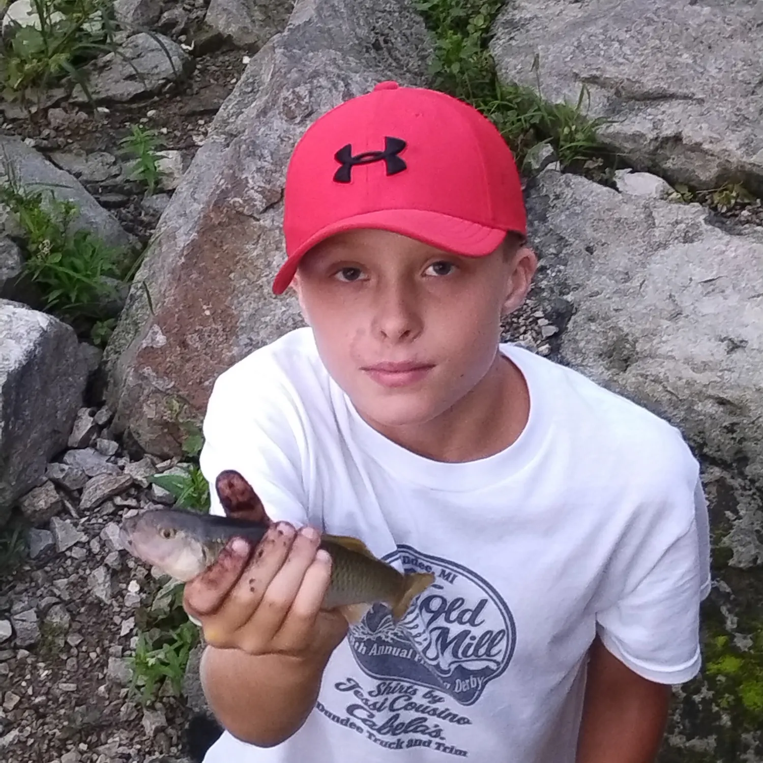 The most recent Dark chub catches on Fishbrain