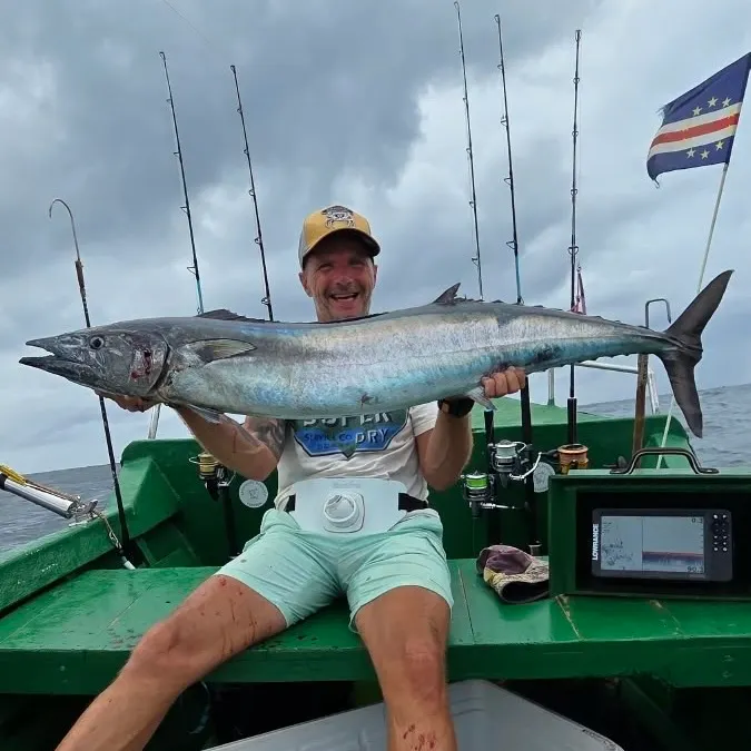 The most recent Wahoo catches on Fishbrain