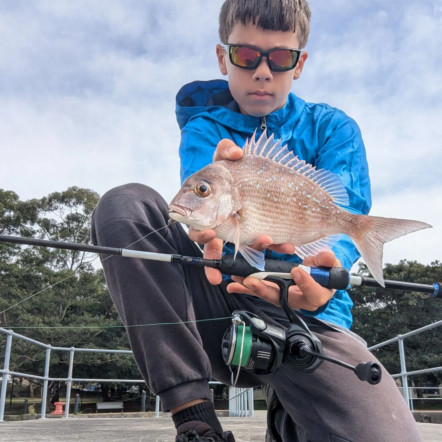 Australasian snapper caught on Fishbrain