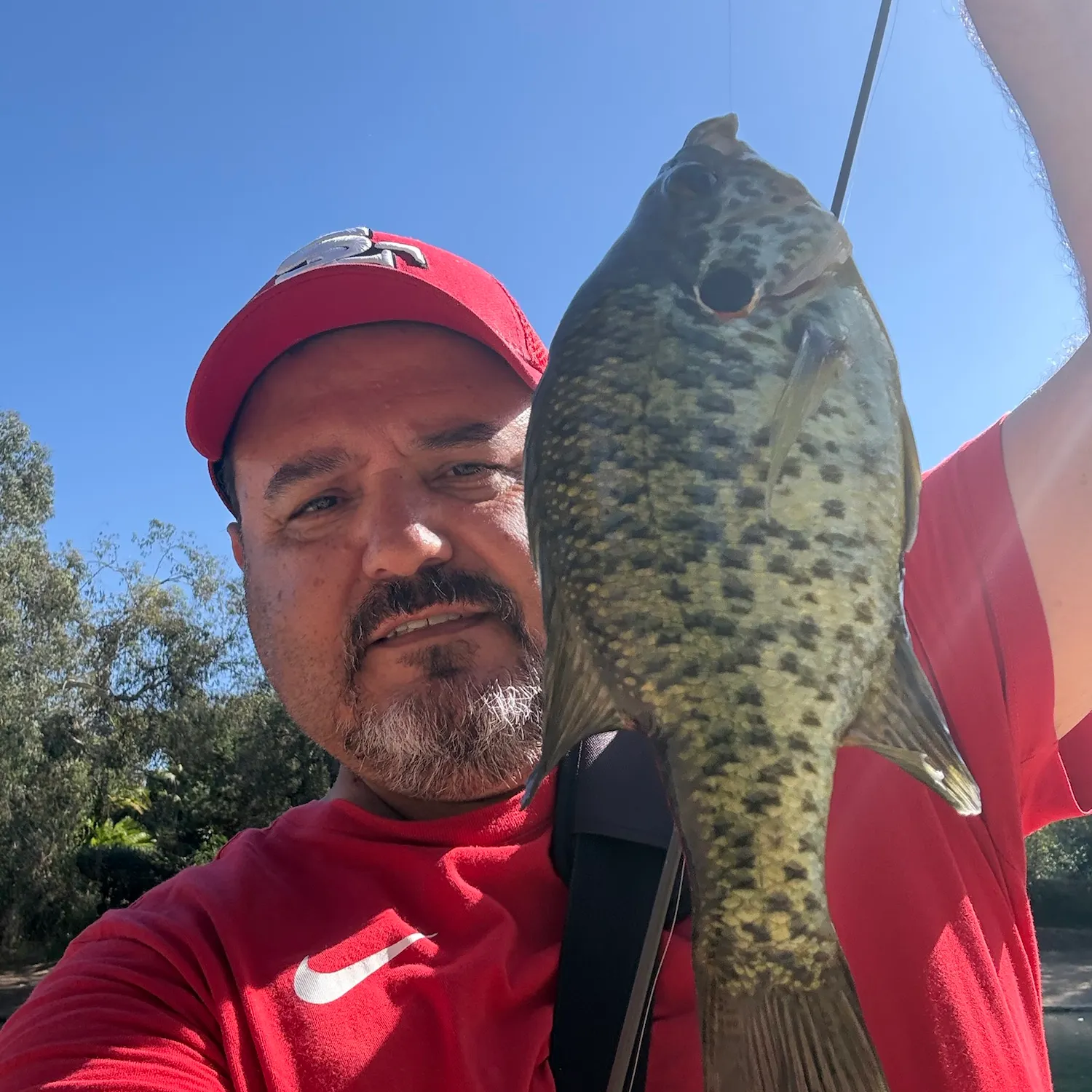 Redear sunfish caught on Fishbrain