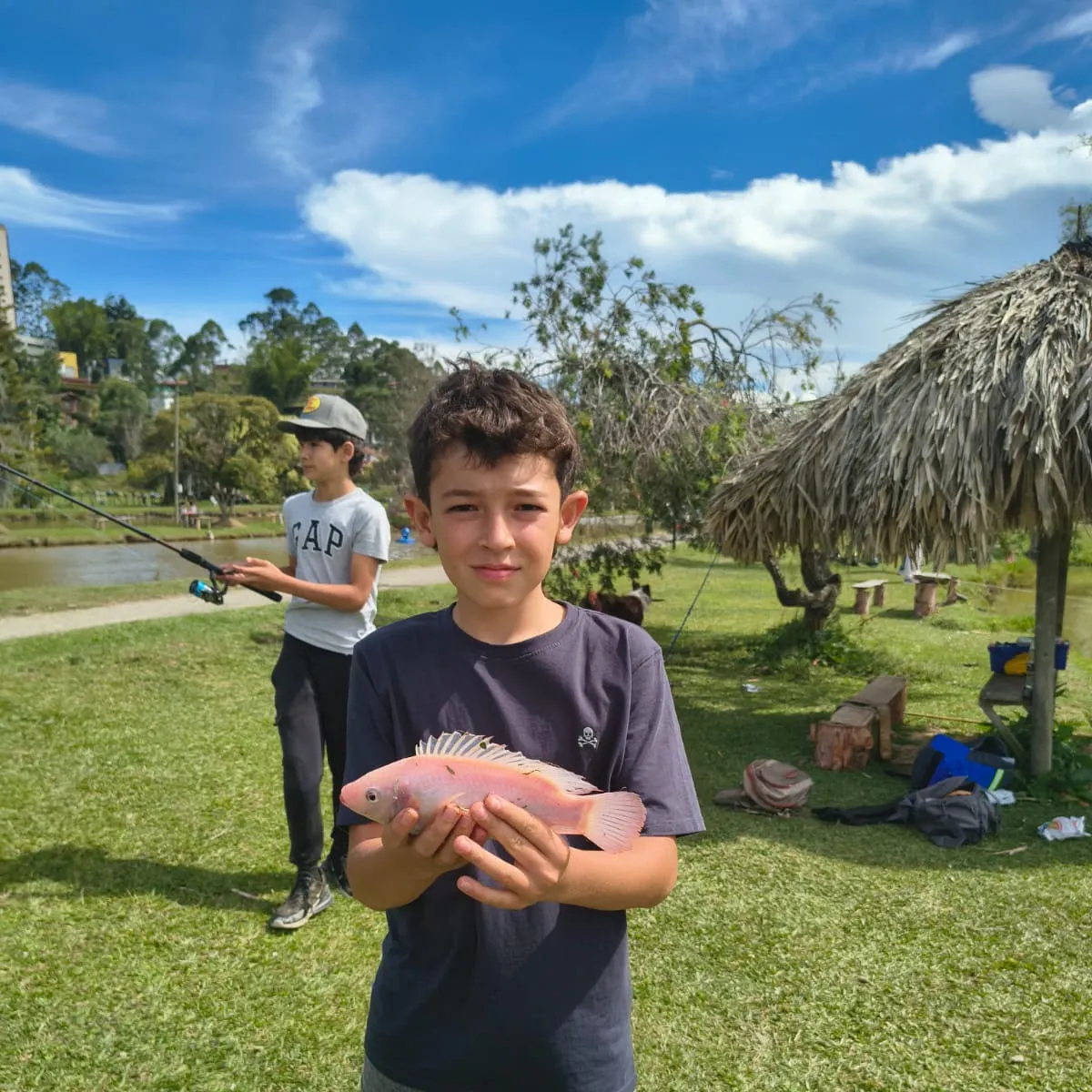 Nile tilapia caught on Fishbrain