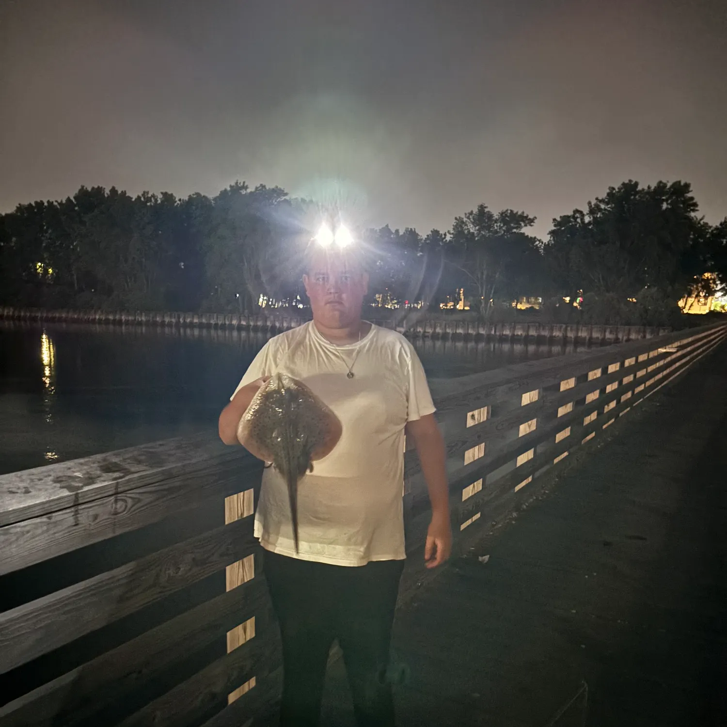 The most recent Starry ray catches on Fishbrain