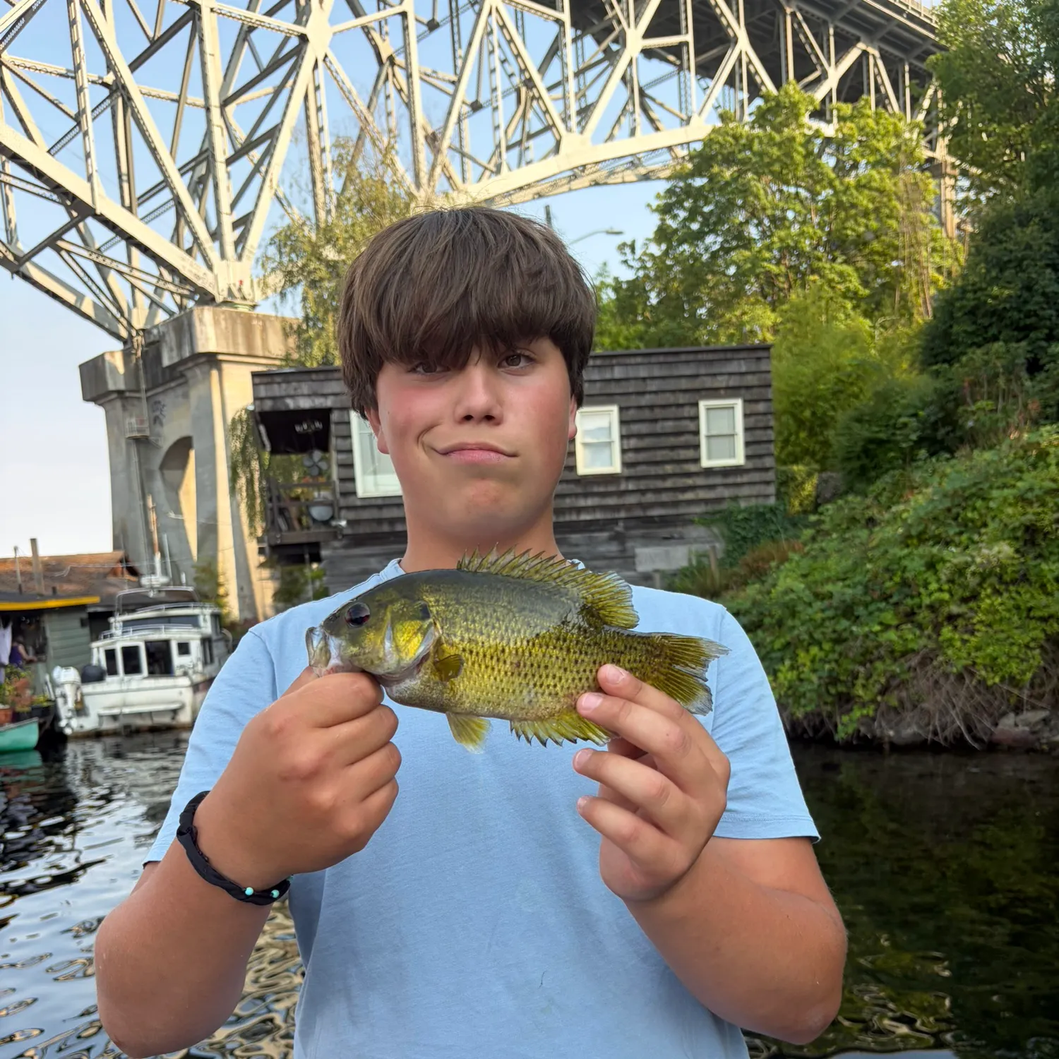 Rock bass caught on Fishbrain
