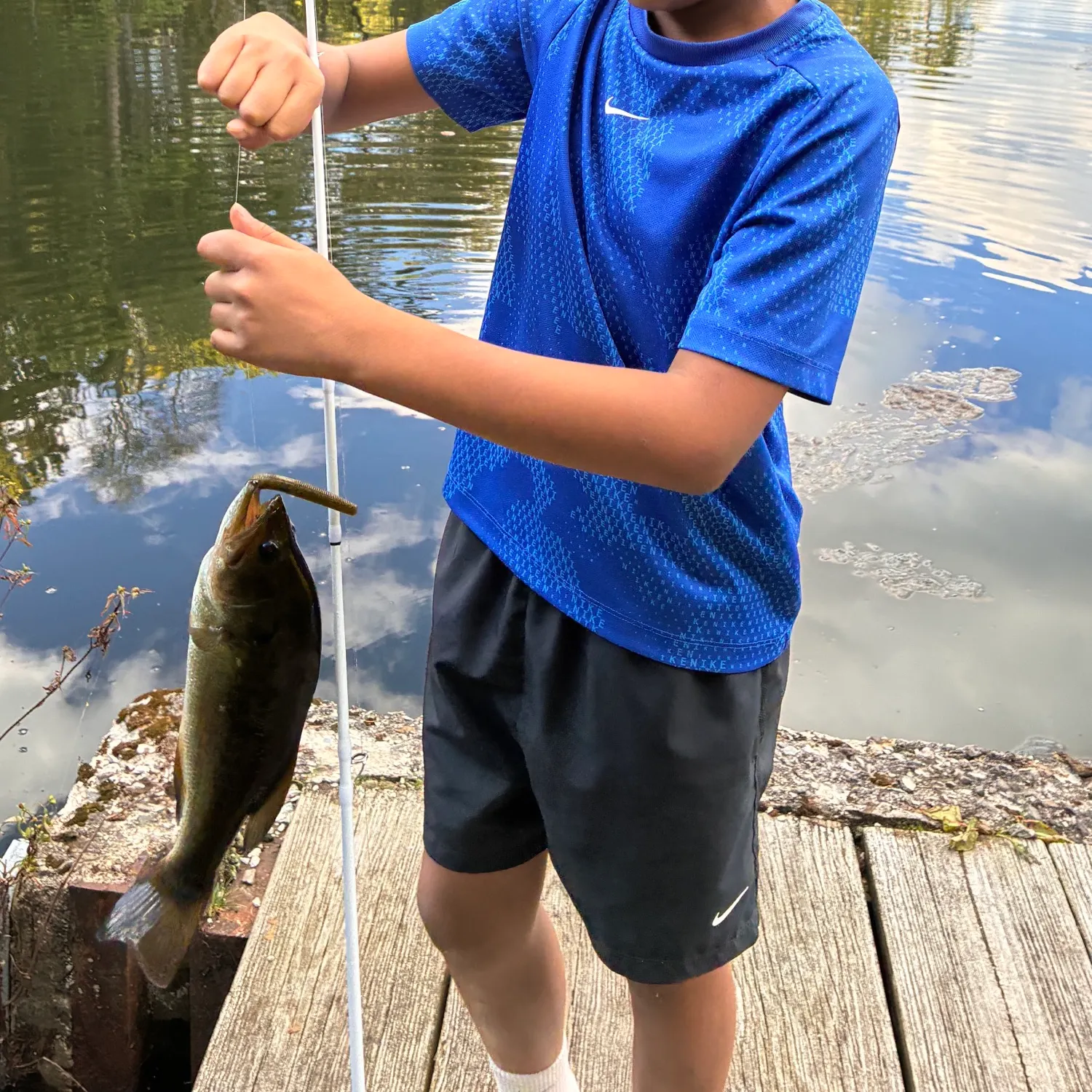 Eyetail bowfin caught on Fishbrain
