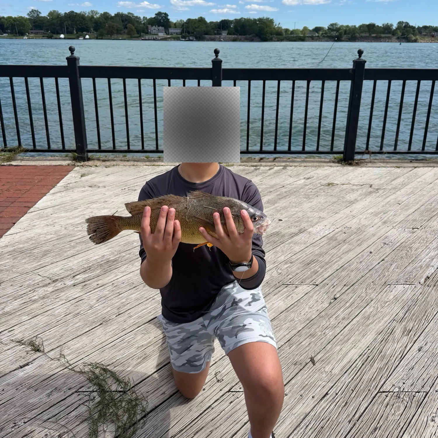 Freshwater drum caught on Fishbrain