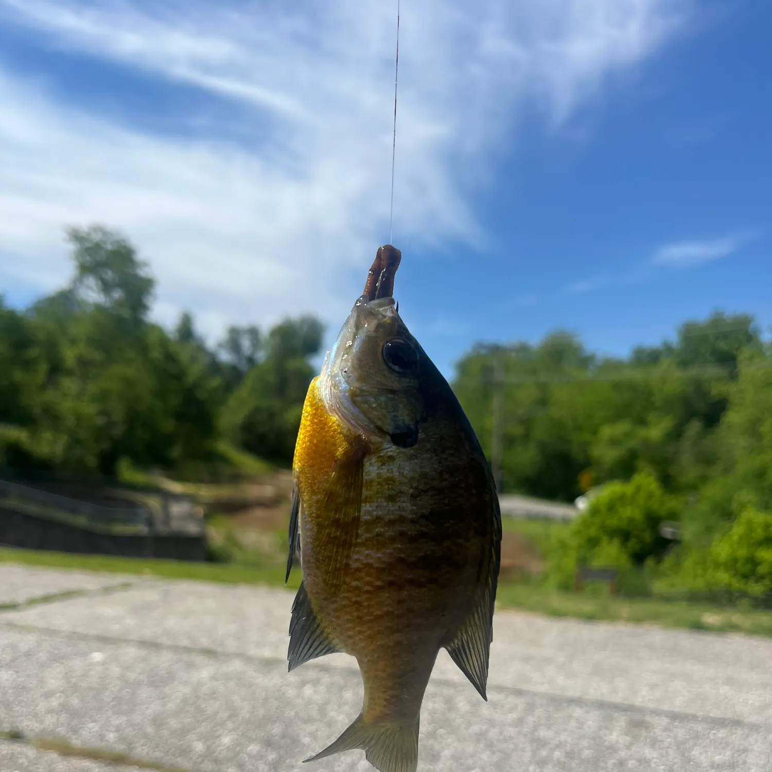 catch