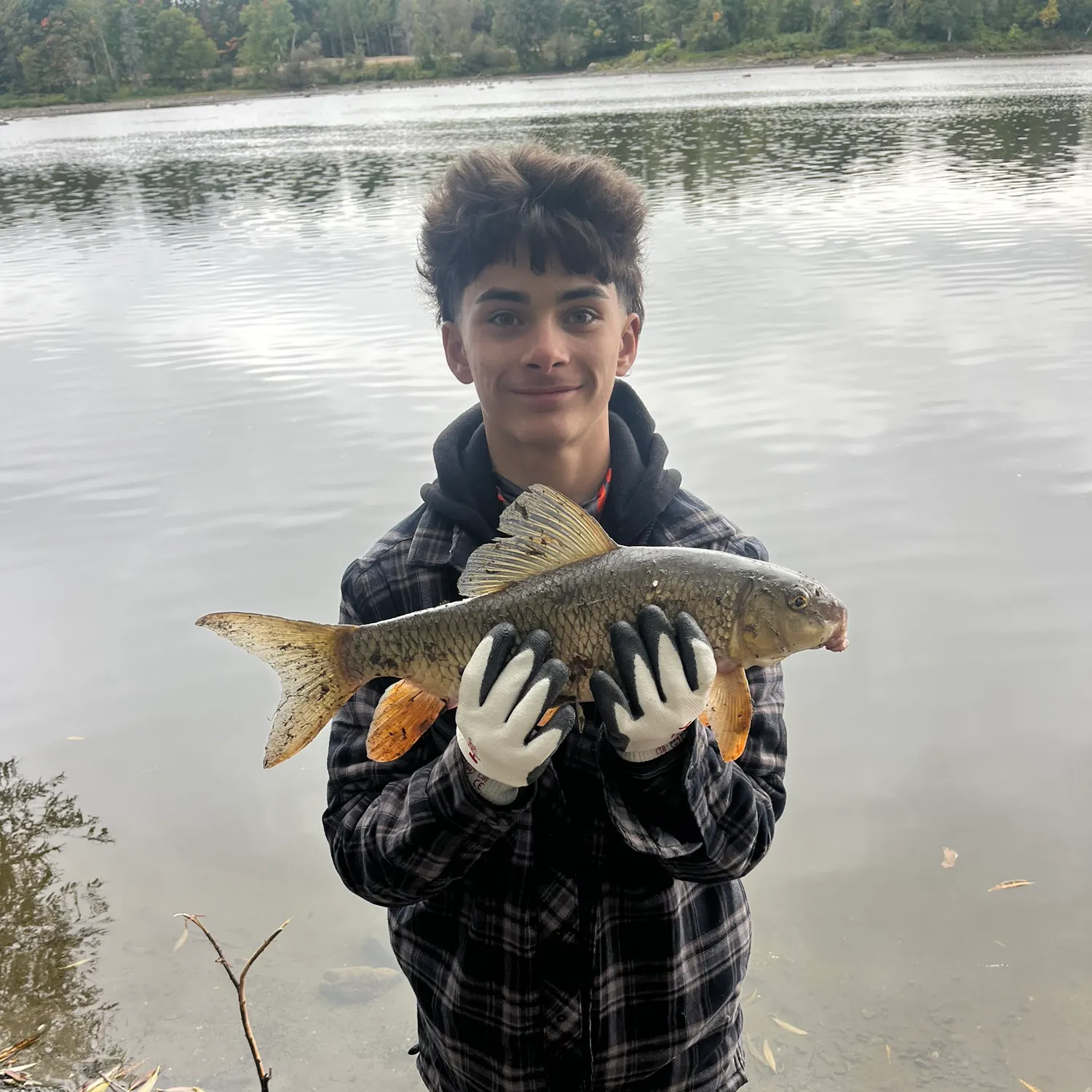 Silver redhorse caught on Fishbrain