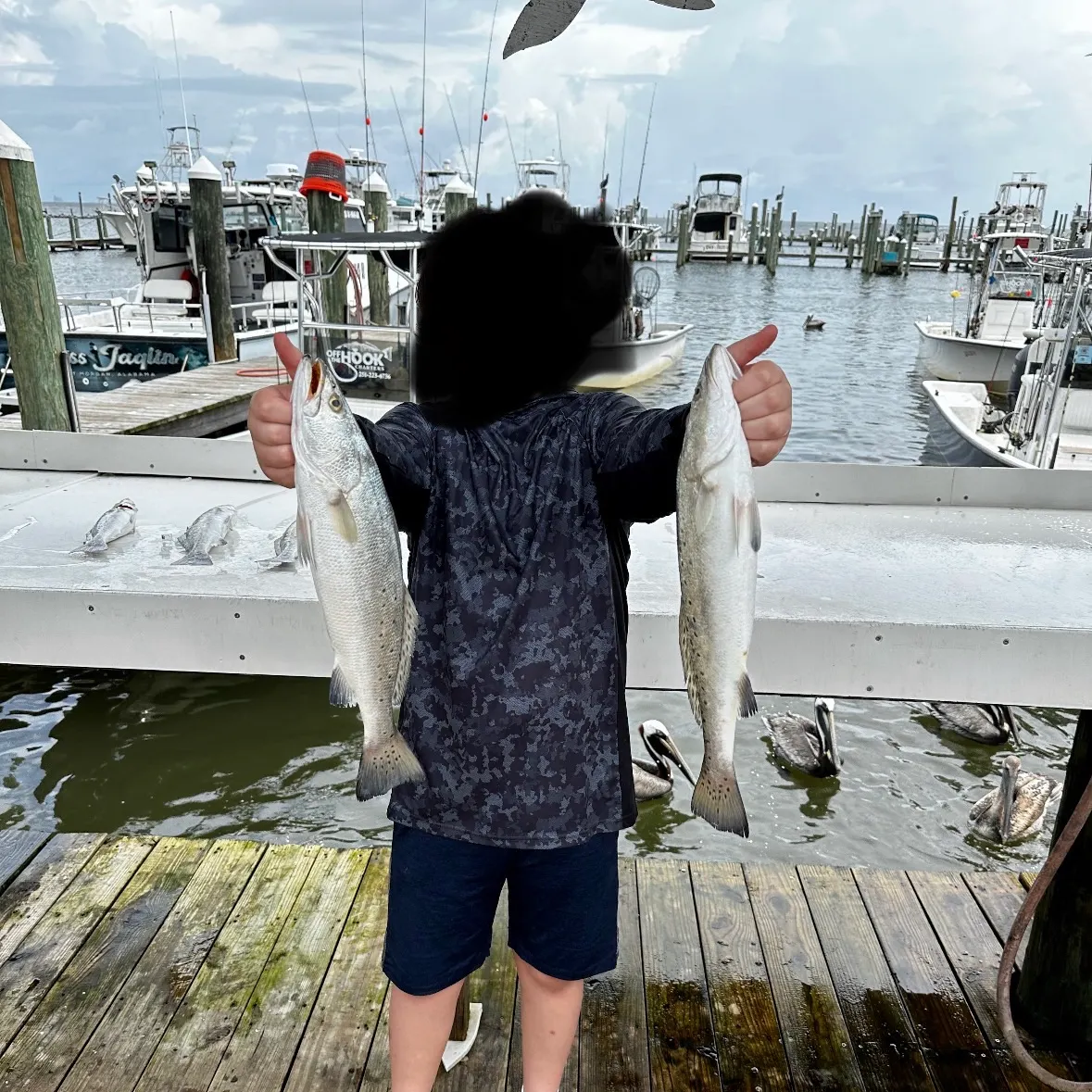 Spotted seatrout caught on Fishbrain
