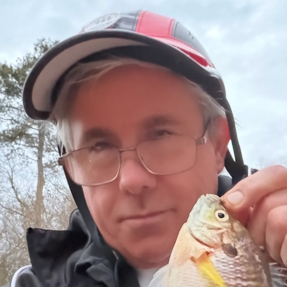 The most recent Redbreast sunfish catches on Fishbrain