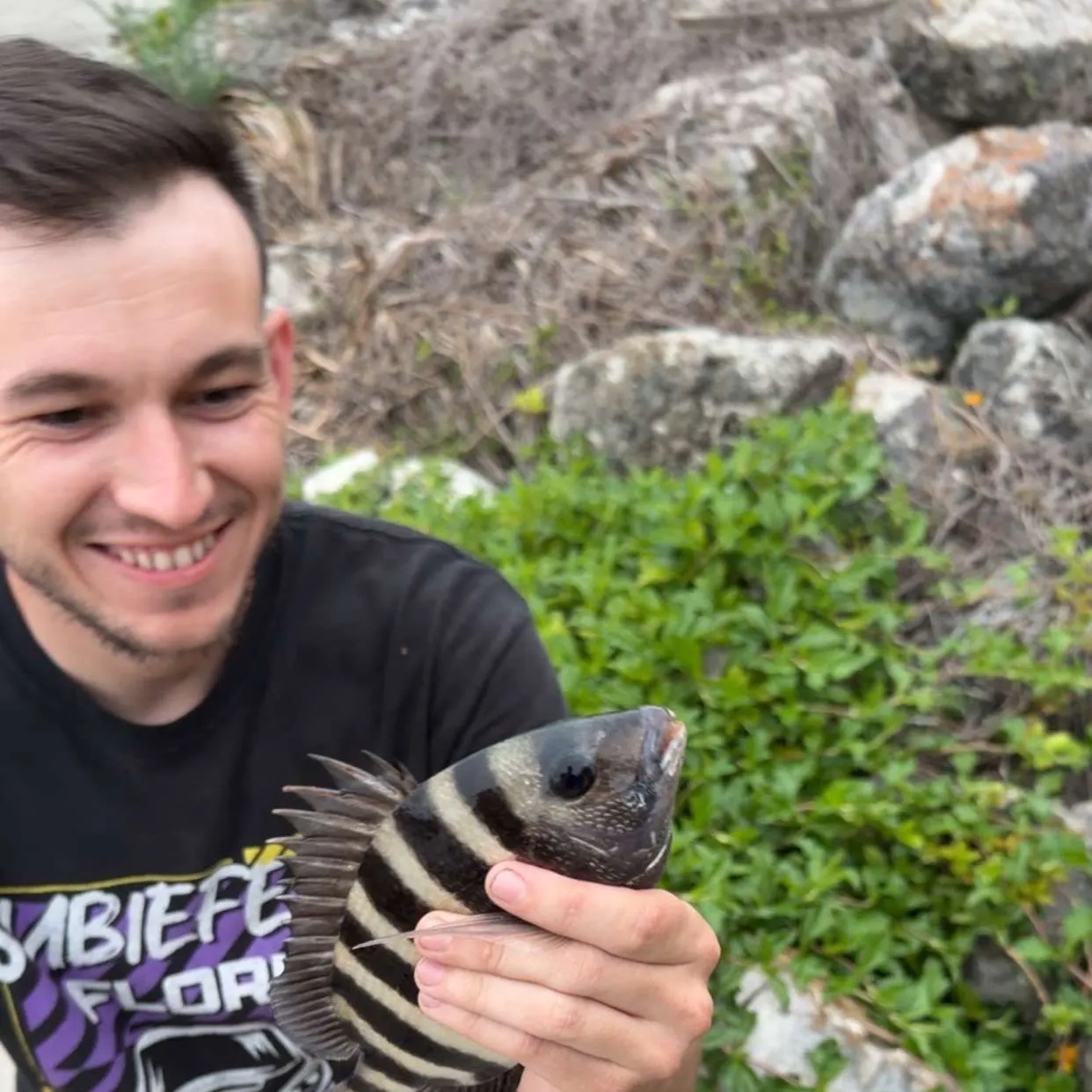 The most recent Sheepshead catches on Fishbrain