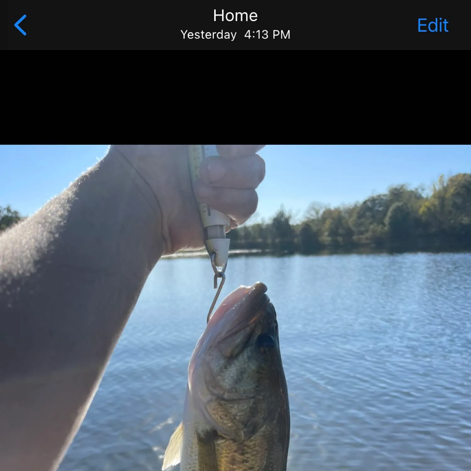 recently logged catches