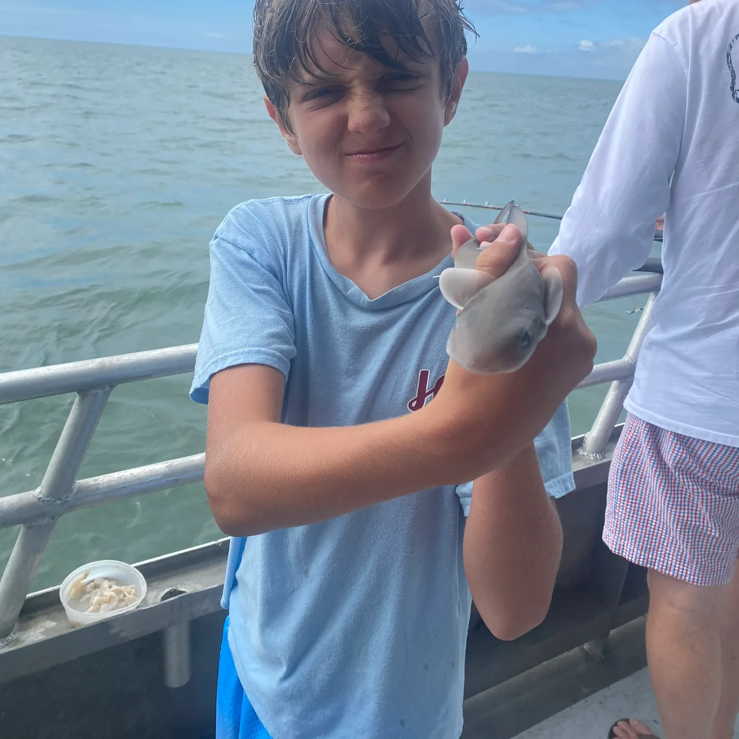 The most recent Piked dogfish catches on Fishbrain