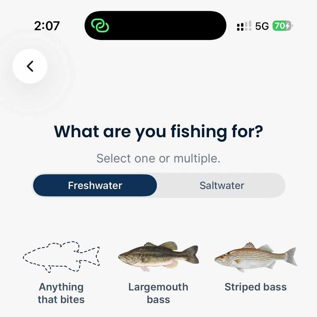 The most recent Trahira catches on Fishbrain