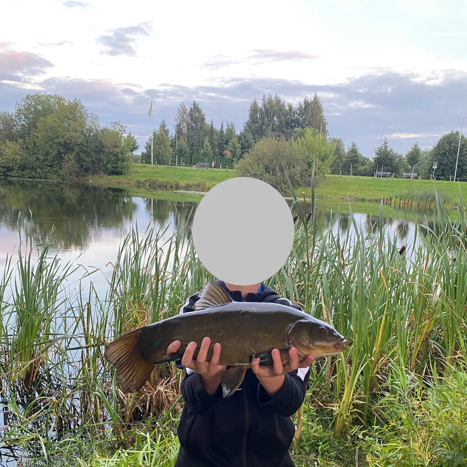 Tench caught on Fishbrain