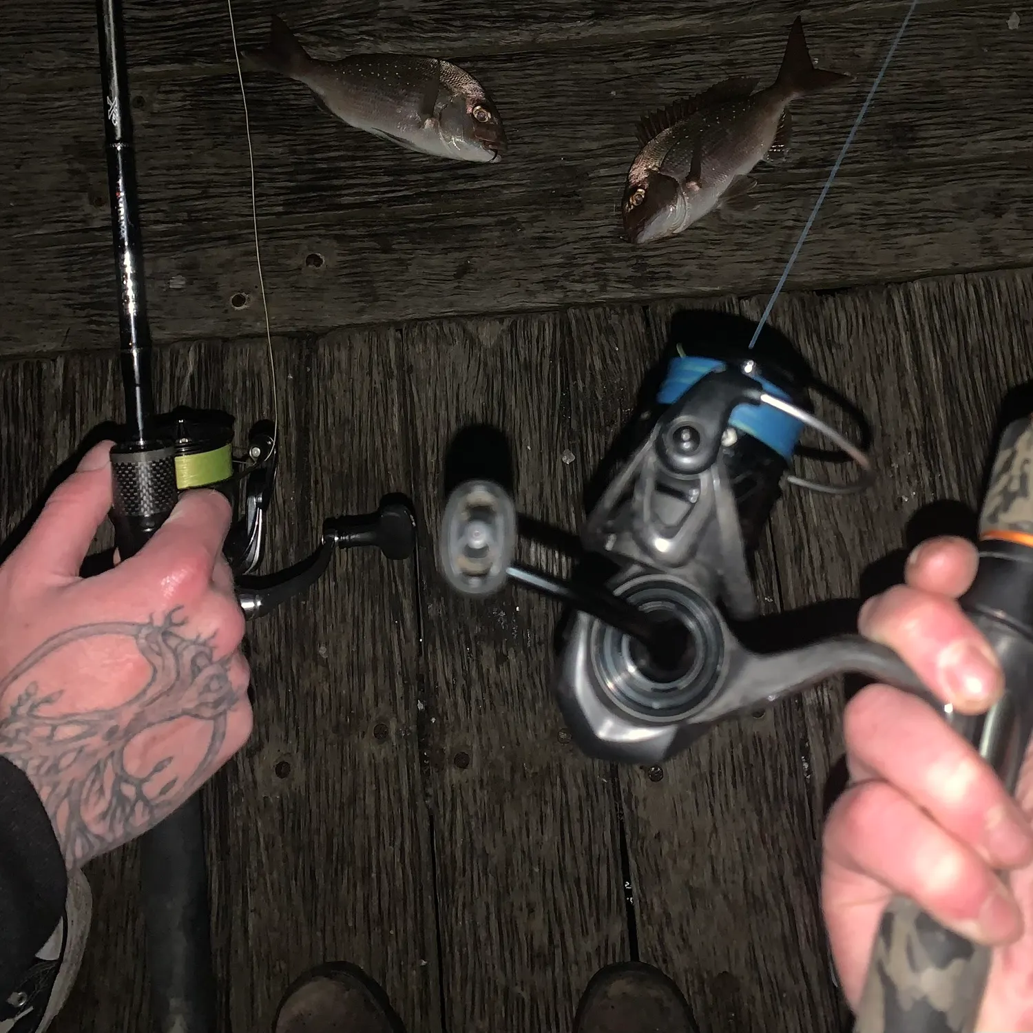 recently logged catches