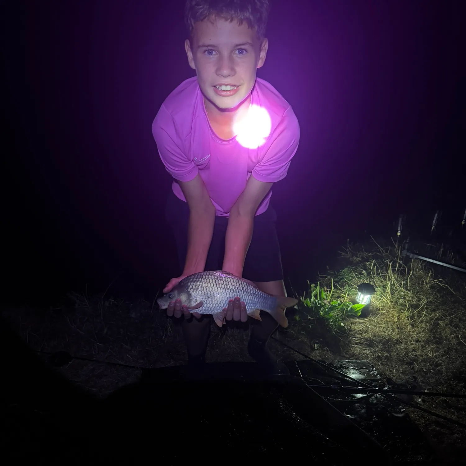 Common carp caught on Fishbrain