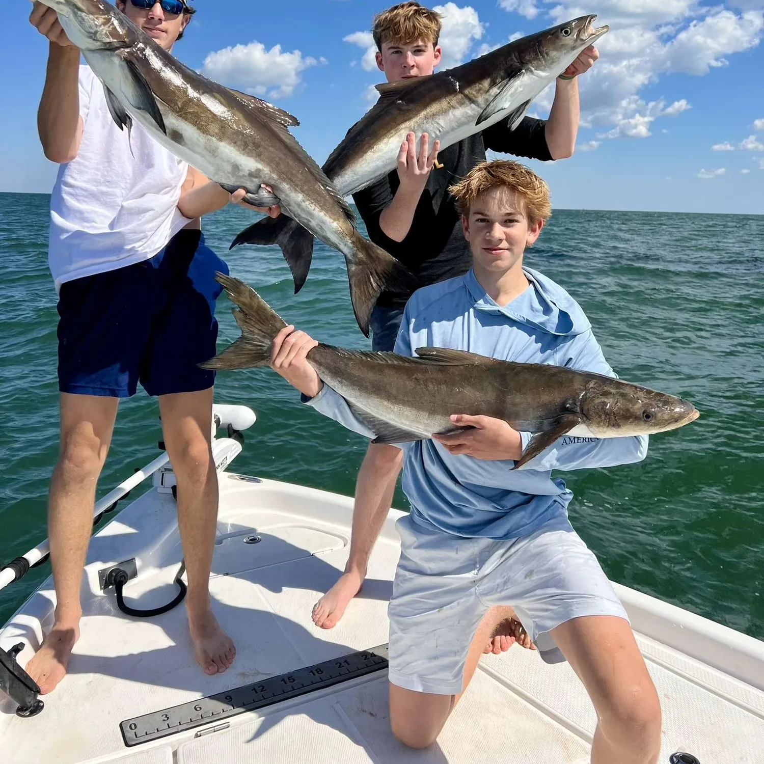 The most popular recent Cobia catch on Fishbrain