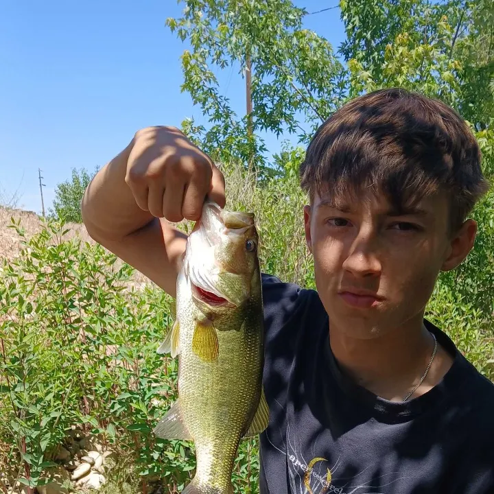2000 yard fishing reel 2000 size reel : r/FishingForBeginners