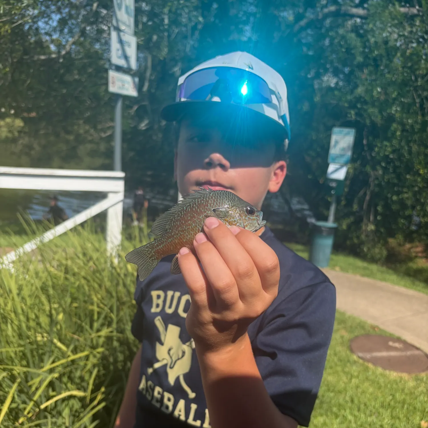 Longear sunfish caught on Fishbrain