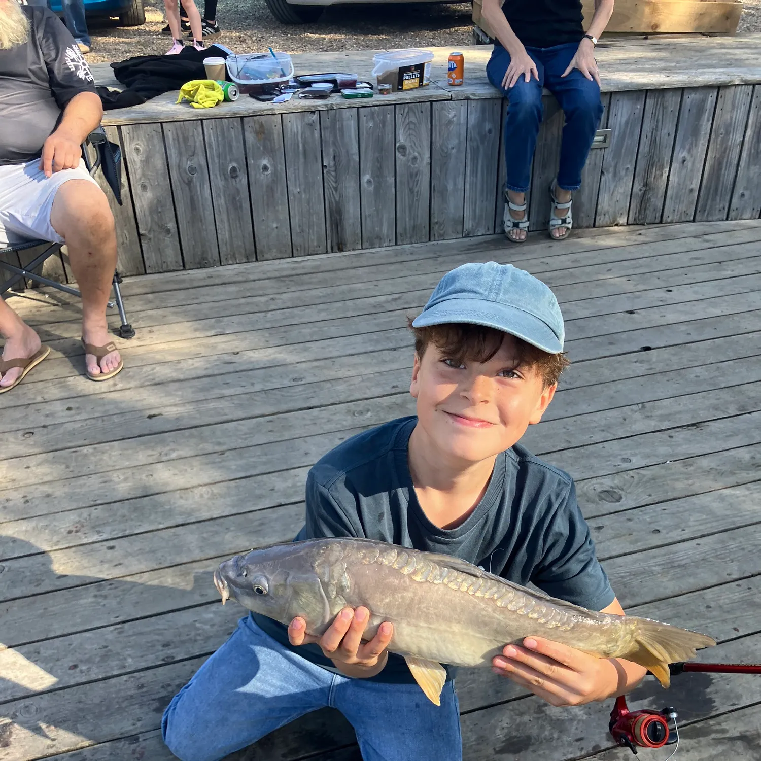 Mirror carp caught on Fishbrain
