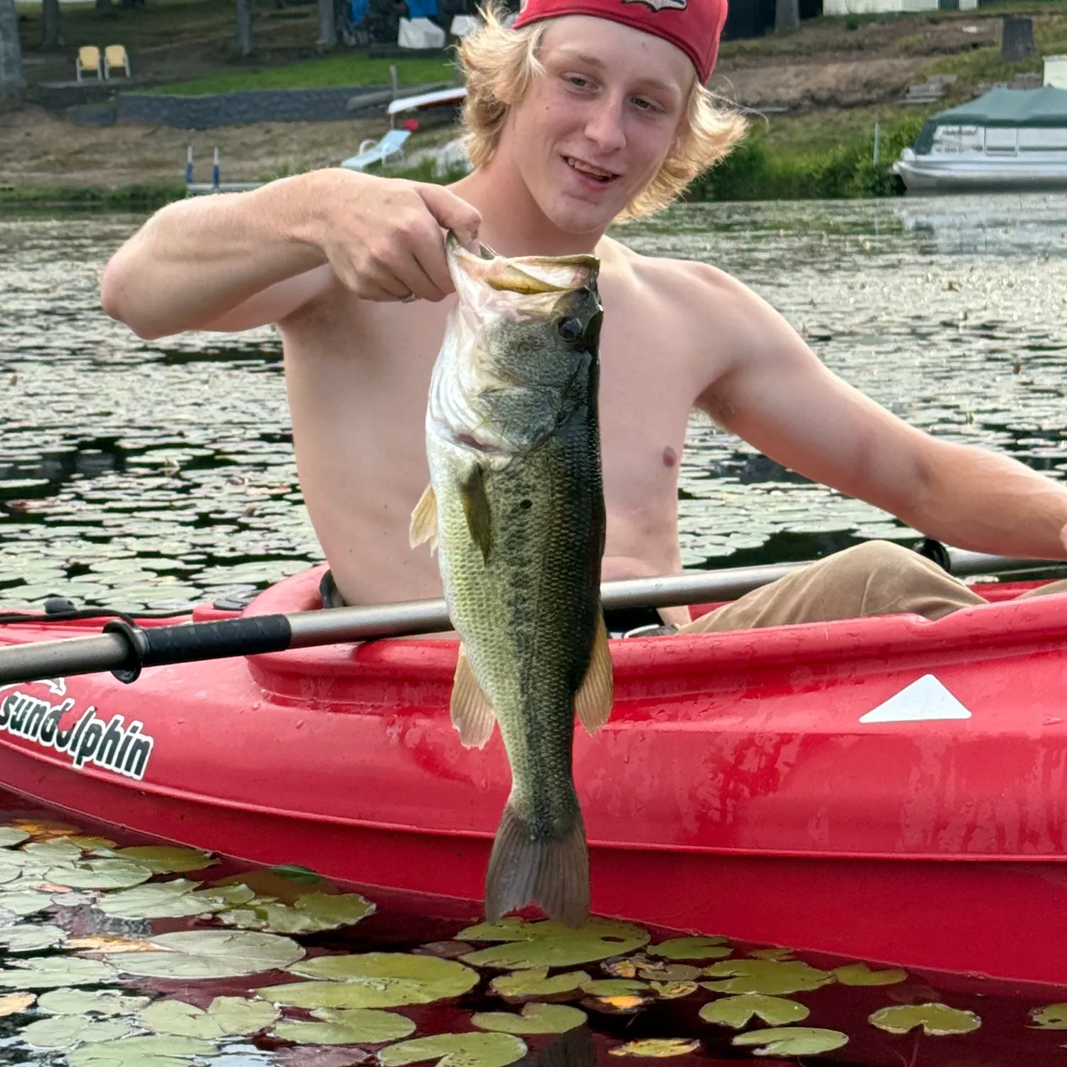 The most recent Largemouth bass catches on Fishbrain