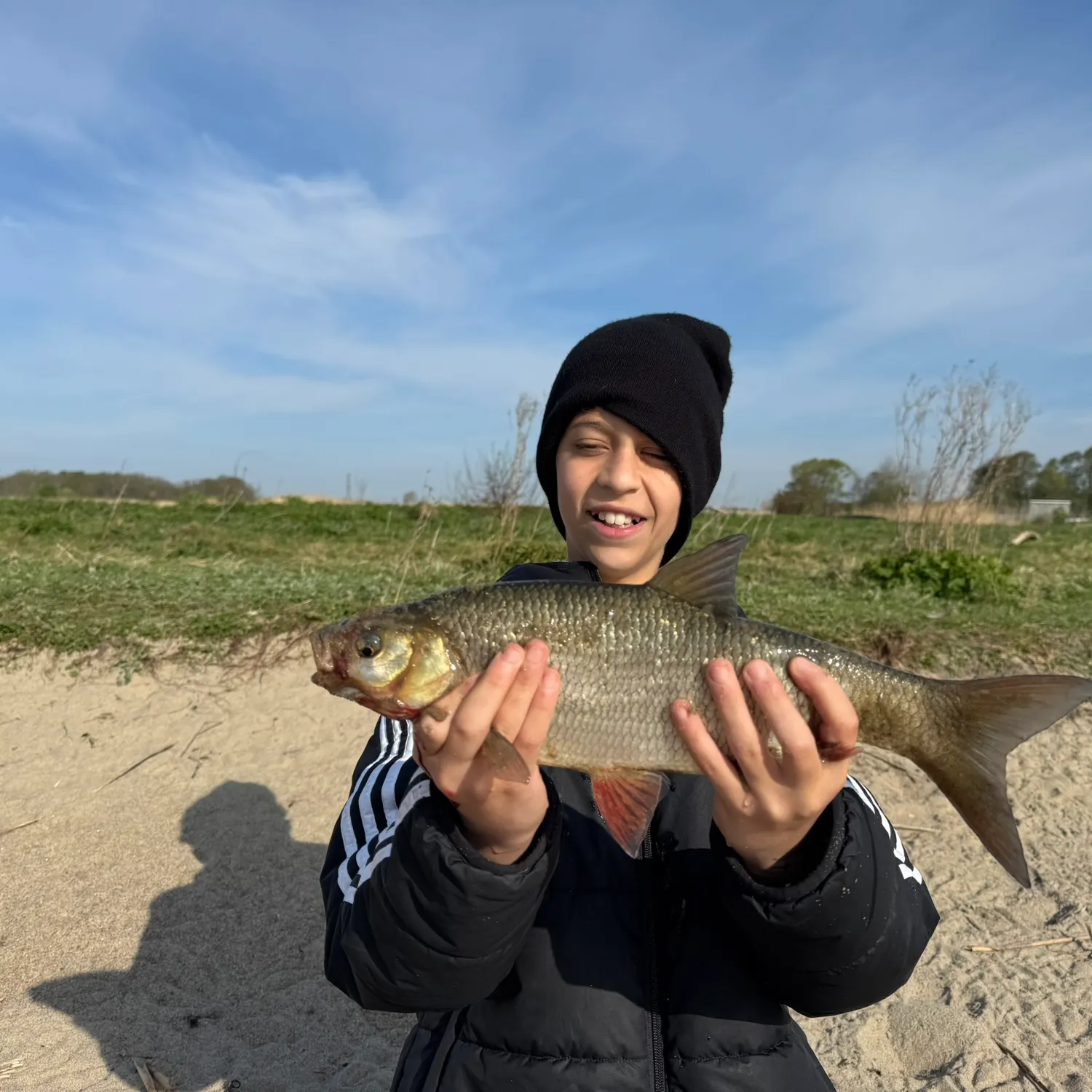 most liked catch image