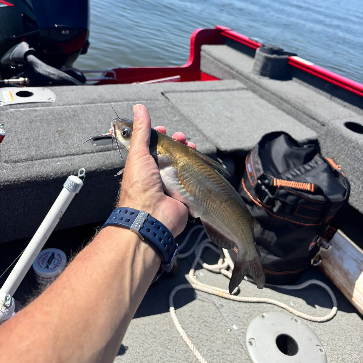 catch