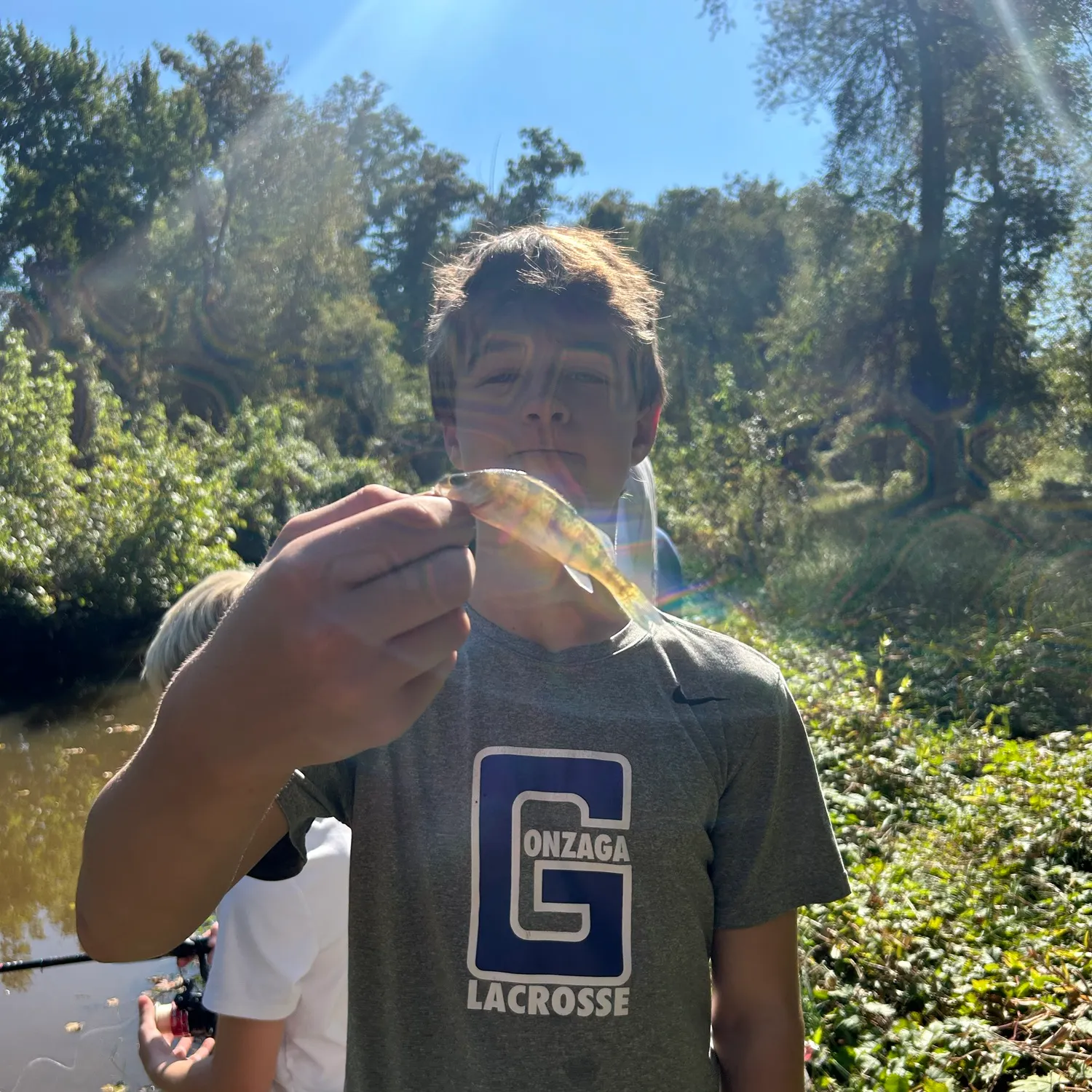 Yellow perch caught on Fishbrain