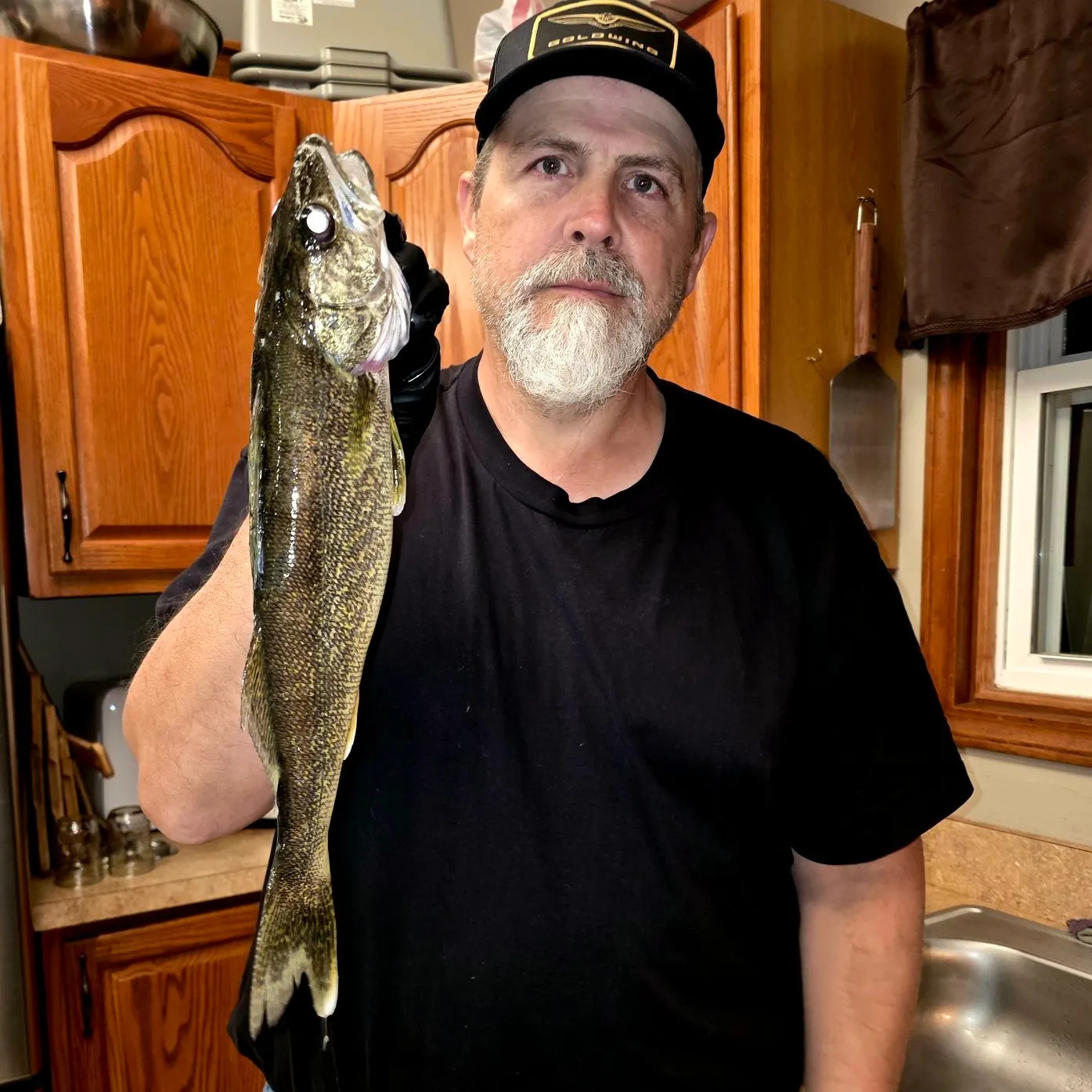 Walleye caught on Fishbrain