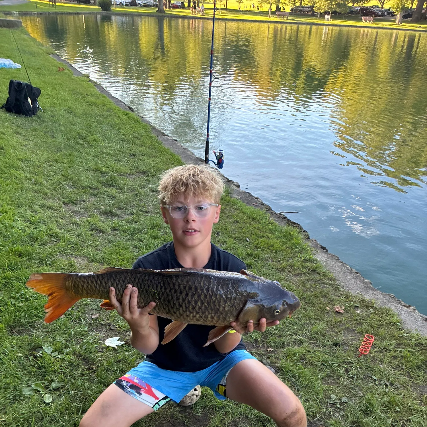 Common carp caught on Fishbrain