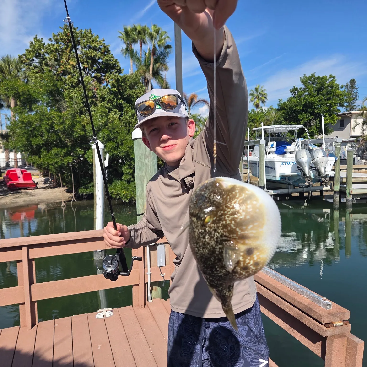 The most recent Northern puffer catches on Fishbrain