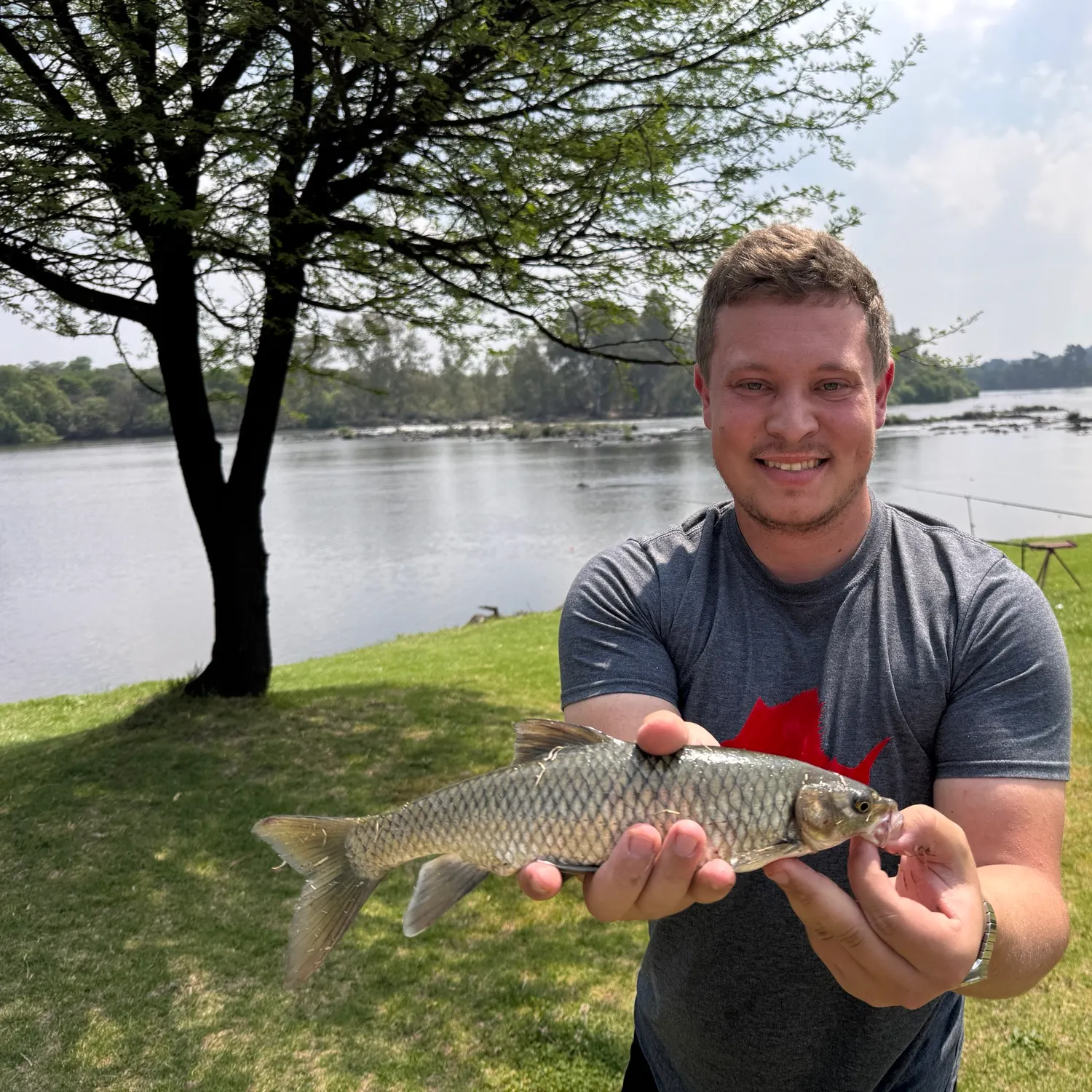 Smallmouth yellowfish caught on Fishbrain