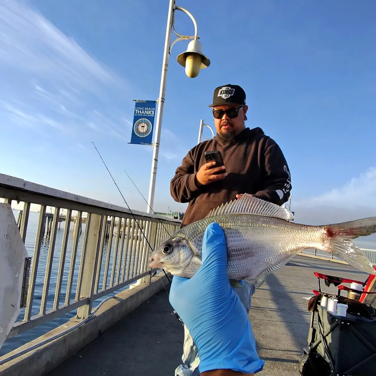 The most recent Silver mojarra catches on Fishbrain