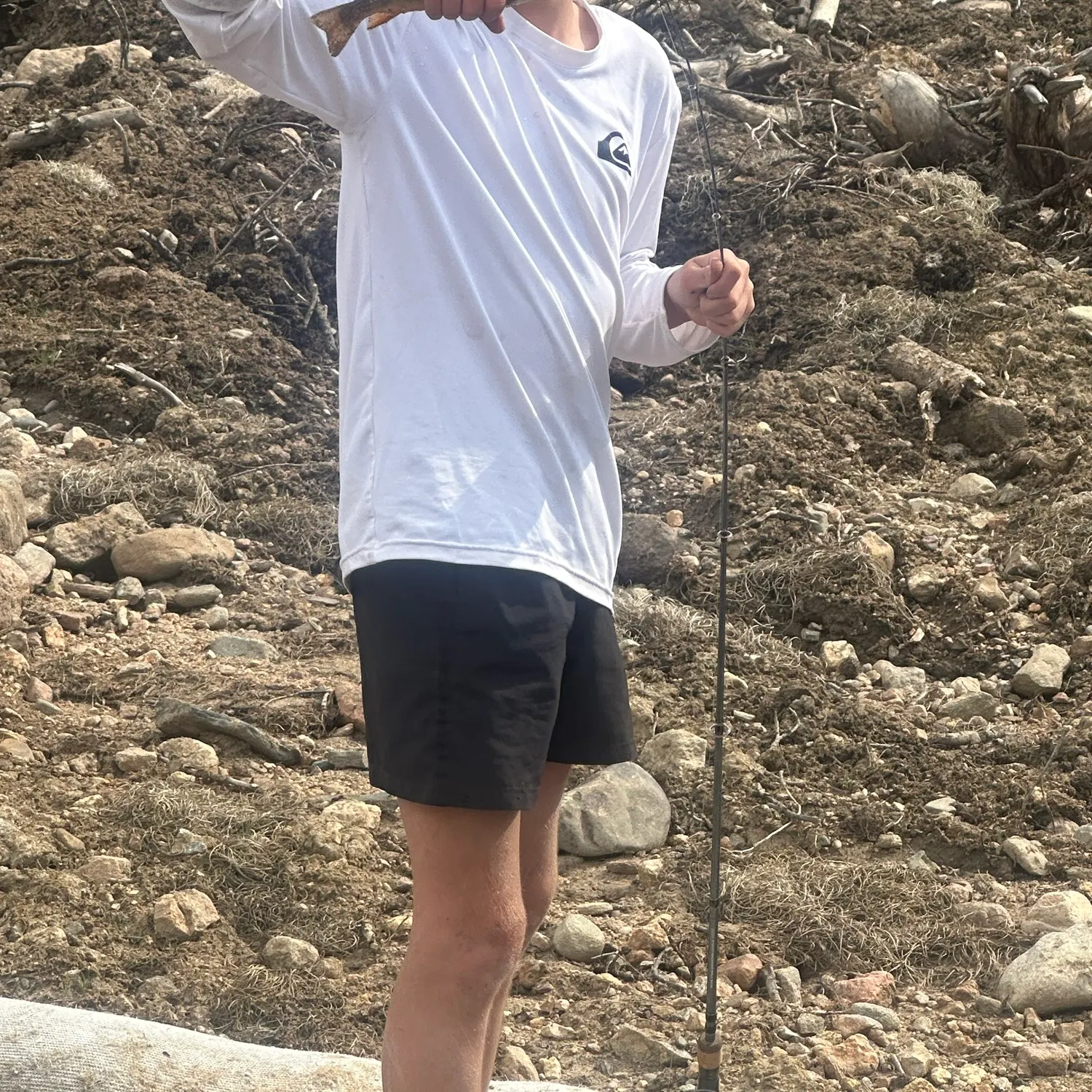 Brown trout caught on Fishbrain