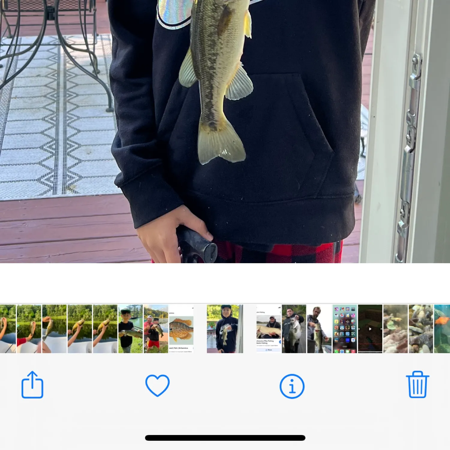 recently logged catches