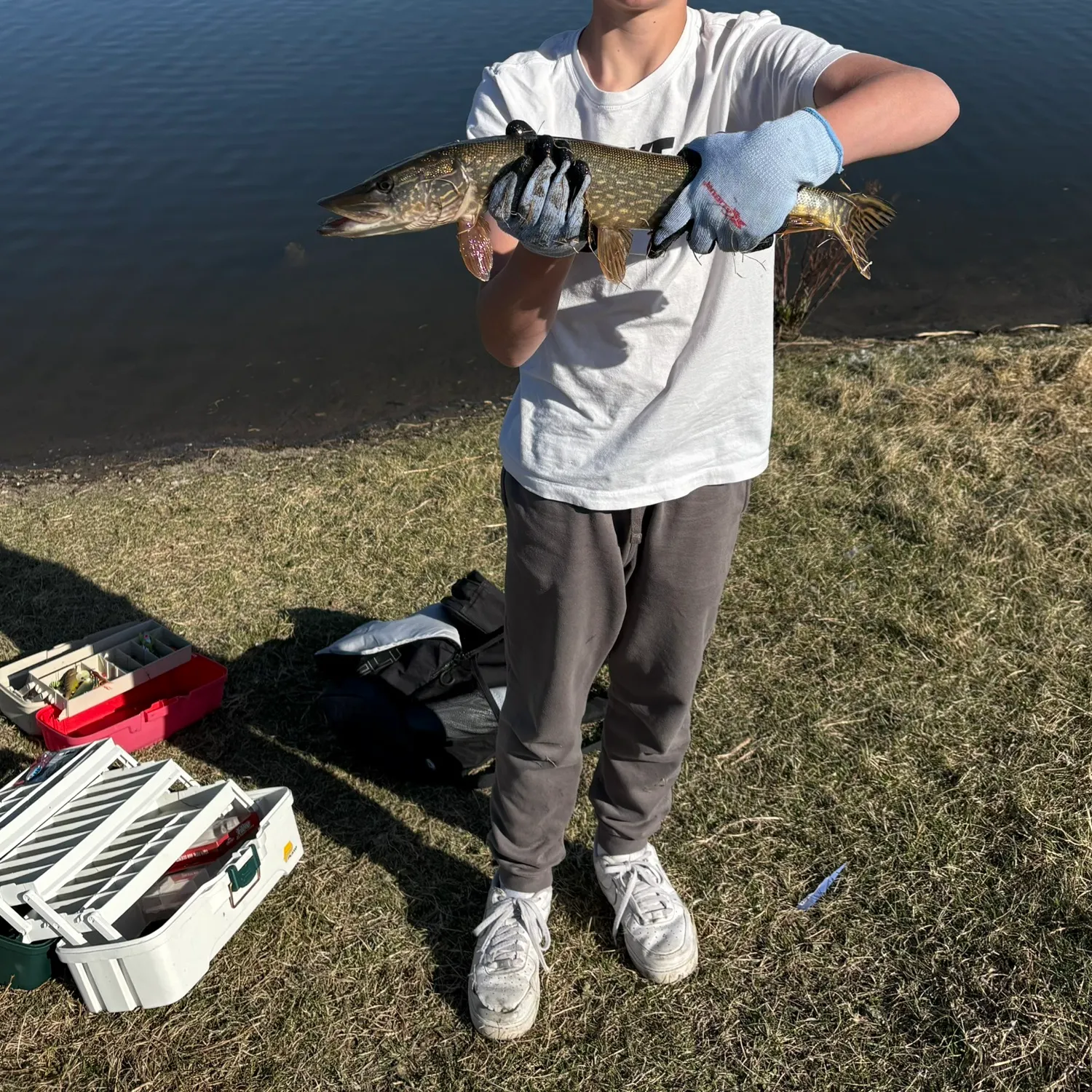 catch